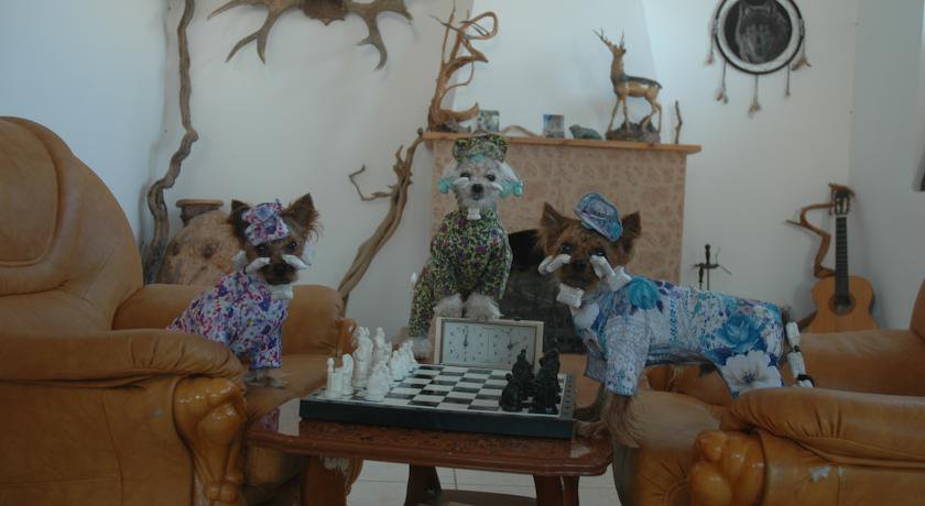 Гостиница Гостевой Дом Карадаг Коктебель-22